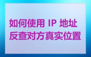 如何使用 IP 地址反查对方真实位置