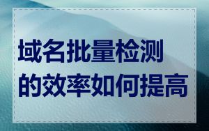 域名批量检测的效率如何提高