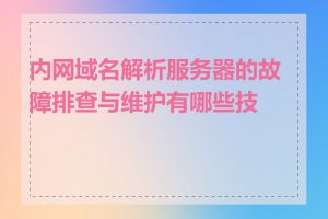 内网域名解析服务器的故障排查与维护有哪些技巧