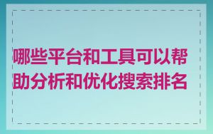 哪些平台和工具可以帮助分析和优化搜索排名