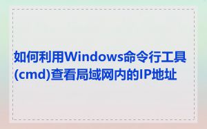 如何利用Windows命令行工具(cmd)查看局域网内的IP地址