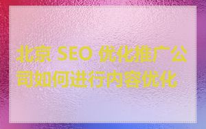 北京 SEO 优化推广公司如何进行内容优化