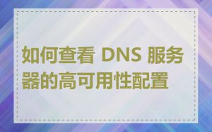 如何查看 DNS 服务器的高可用性配置