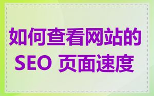 如何查看网站的 SEO 页面速度