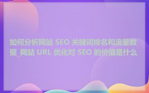 如何分析网站 SEO 关键词排名和流量数据_网站 URL 优化对 SEO 的价值是什么