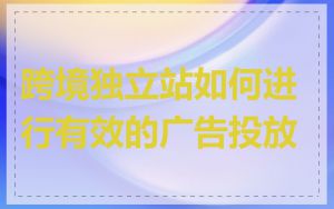 跨境独立站如何进行有效的广告投放