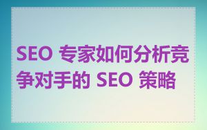 SEO 专家如何分析竞争对手的 SEO 策略