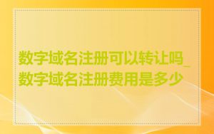 数字域名注册可以转让吗_数字域名注册费用是多少