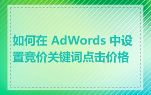 如何在 AdWords 中设置竞价关键词点击价格