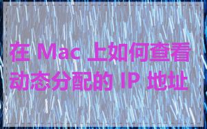 在 Mac 上如何查看动态分配的 IP 地址