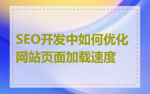 SEO开发中如何优化网站页面加载速度