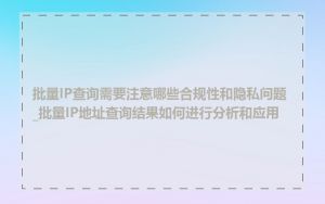 批量IP查询需要注意哪些合规性和隐私问题_批量IP地址查询结果如何进行分析和应用