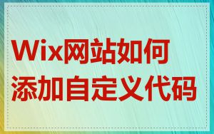 Wix网站如何添加自定义代码