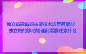 独立站建站的主要技术选型有哪些_独立站的移动端适配需要注意什么