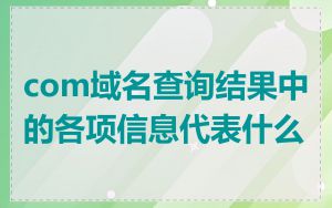 com域名查询结果中的各项信息代表什么