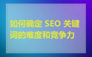 如何确定 SEO 关键词的难度和竞争力