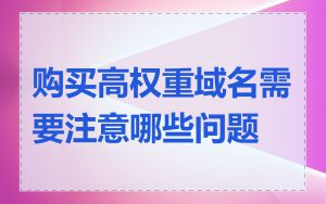 购买高权重域名需要注意哪些问题