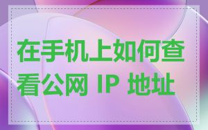 在手机上如何查看公网 IP 地址