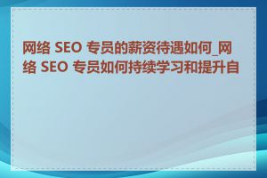 网络 SEO 专员的薪资待遇如何_网络 SEO 专员如何持续学习和提升自己