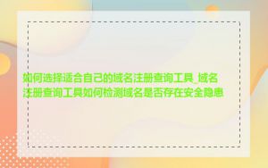 如何选择适合自己的域名注册查询工具_域名注册查询工具如何检测域名是否存在安全隐患