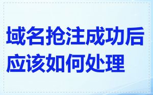 域名抢注成功后应该如何处理