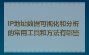 IP地址数据可视化和分析的常用工具和方法有哪些