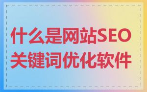 什么是网站SEO关键词优化软件