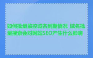 如何批量监控域名到期情况_域名批量搜索会对网站SEO产生什么影响