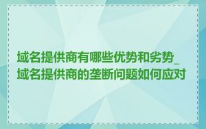 域名提供商有哪些优势和劣势_域名提供商的垄断问题如何应对