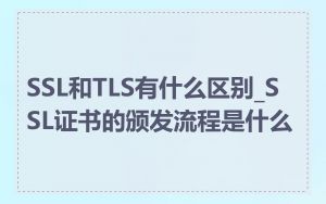 SSL和TLS有什么区别_SSL证书的颁发流程是什么