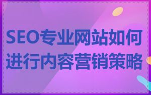 SEO专业网站如何进行内容营销策略