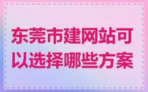 东莞市建网站可以选择哪些方案