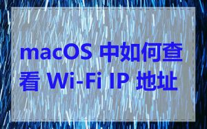 macOS 中如何查看 Wi-Fi IP 地址