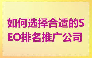 如何选择合适的SEO排名推广公司