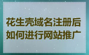 花生壳域名注册后如何进行网站推广