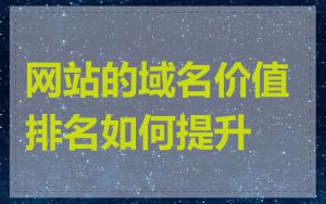 网站的域名价值排名如何提升