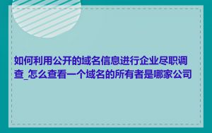 如何利用公开的域名信息进行企业尽职调查_怎么查看一个域名的所有者是哪家公司