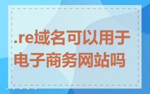 .re域名可以用于电子商务网站吗