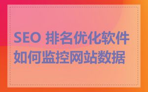 SEO 排名优化软件如何监控网站数据