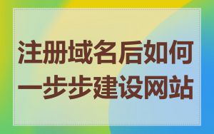 注册域名后如何一步步建设网站