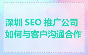 深圳 SEO 推广公司如何与客户沟通合作