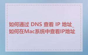 如何通过 DNS 查看 IP 地址_如何在Mac系统中查看IP地址