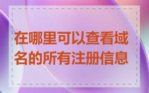 在哪里可以查看域名的所有注册信息