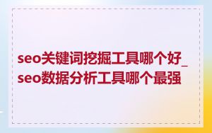 seo关键词挖掘工具哪个好_seo数据分析工具哪个最强