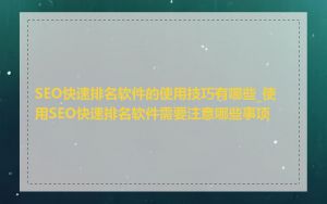 SEO快速排名软件的使用技巧有哪些_使用SEO快速排名软件需要注意哪些事项