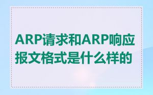 ARP请求和ARP响应报文格式是什么样的