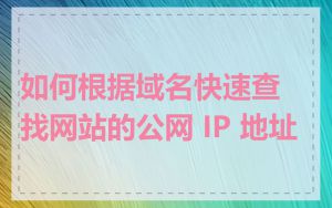 如何根据域名快速查找网站的公网 IP 地址