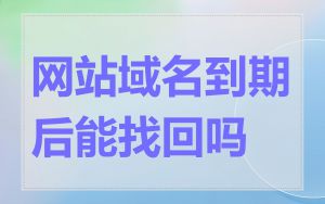 网站域名到期后能找回吗