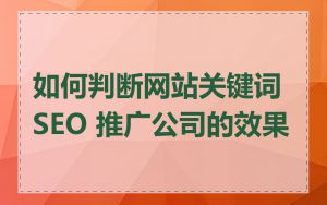 如何判断网站关键词 SEO 推广公司的效果