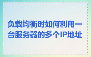 负载均衡时如何利用一台服务器的多个IP地址